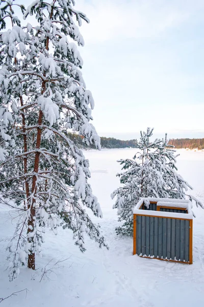 Frozen Lake Winter Wonderland Pine Trees Covered Snow Warm Sunshine — Stock Photo, Image