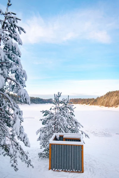 冬の不思議の国の凍った湖 雪に覆われた松の木 暖かい日差しと青空 — ストック写真