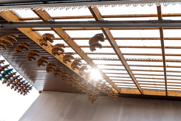 透明的屋顶木制装饰面板阁楼 — 图库照片