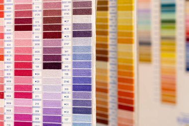 İplik rengi paleti. Nakış işleme hobisi için iplikler.