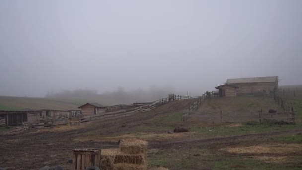 Farmářská Pastvina Horách Hřišti Pasou Koně — Stock video