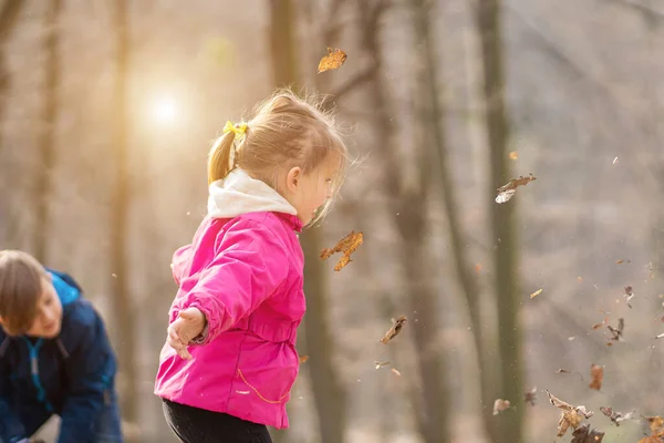 Siblings Kids Playing Maple Leaves Autumn Park — Stock Photo, Image