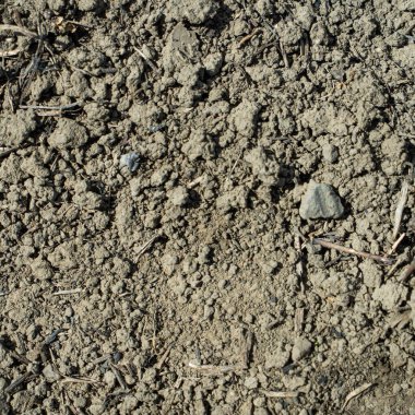 Yerdeki gri-siyah lav dokusuna yakın plan. Gözenekli, çatlak ve taşlı, doku ya da fotoğraf arkaplan olarak mükemmel. Erimiş kayanın etkisi.