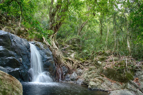 Waterfall Stock Image