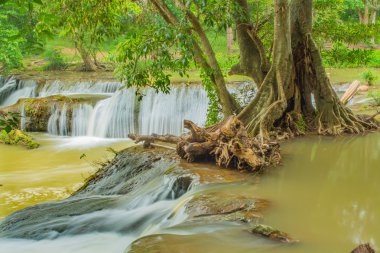 Tayland 'da Şelale.