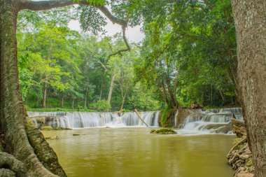 Tayland 'da Şelale.