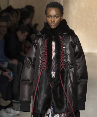 DKNY - sonbahar kış 2016 koleksiyonu