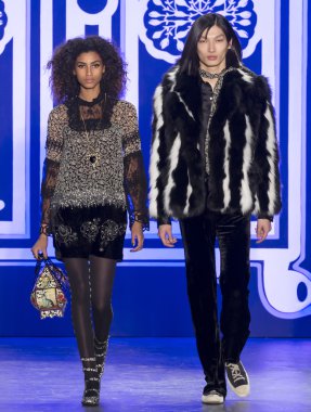 Anna Sui - sonbahar kış 2016 koleksiyonu