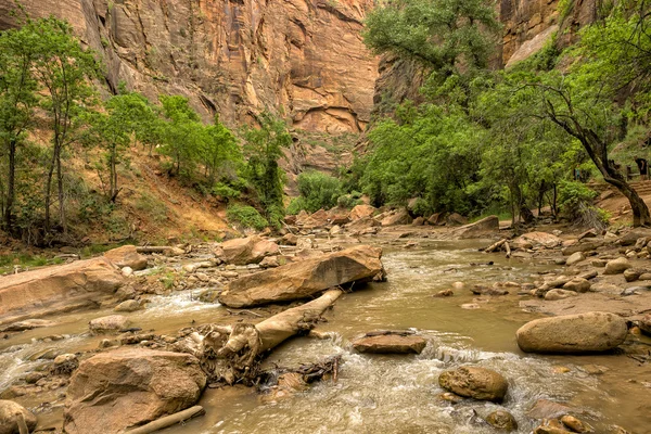 Jungfräulicher Fluss — Stockfoto