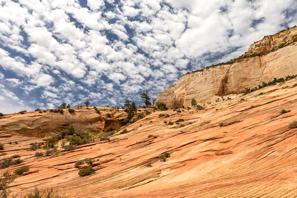 Parque nacional de Zion — Foto de Stock