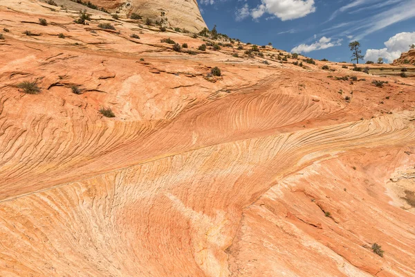 Zion National Park — Stock Photo, Image