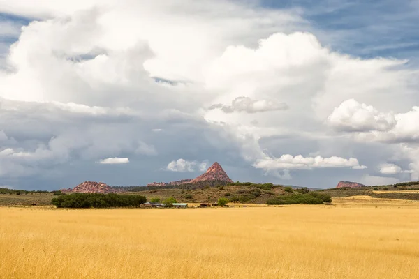 Hay field — Stock Photo, Image