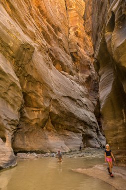 Zion national park