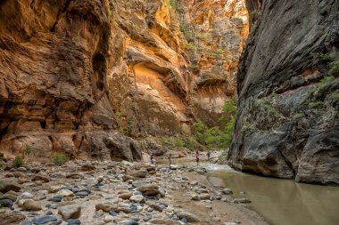 Zion national park