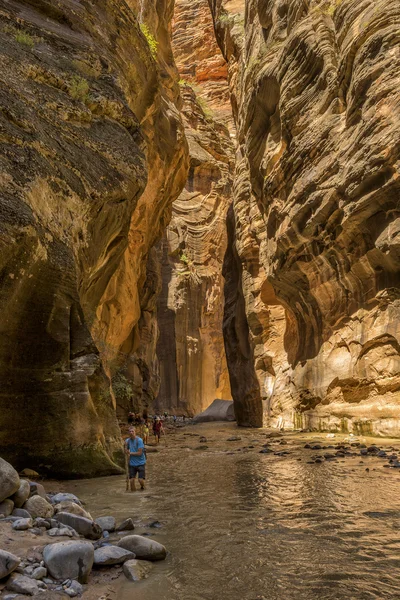 Zion National Park — Stock Photo, Image