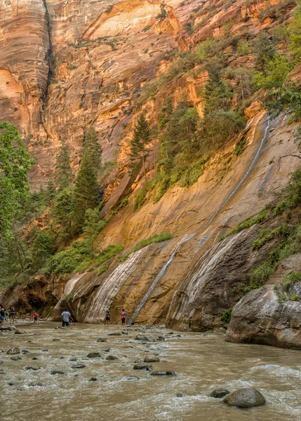 Nationaalpark Zion — Stockfoto