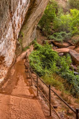 Zion national park