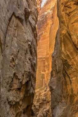 Zion national park