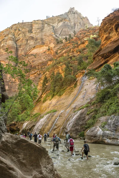 Zion nationalpark — Stockfoto