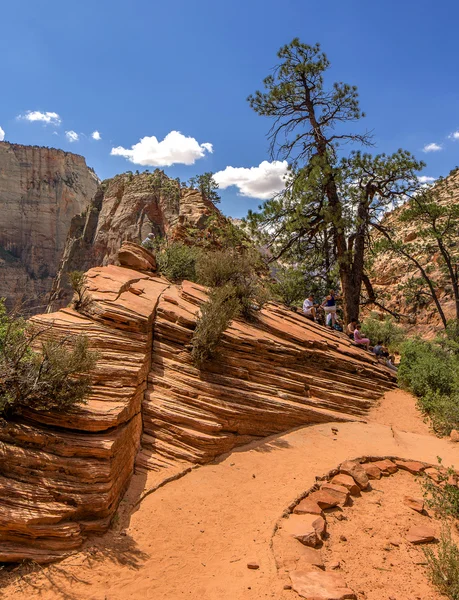 Zion nationalpark — Stockfoto