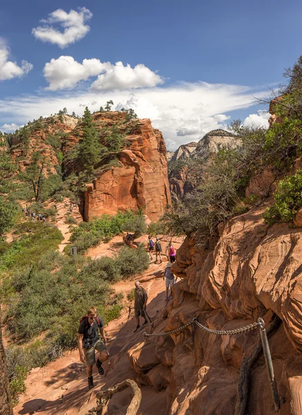 Zion nationalpark — Stockfoto