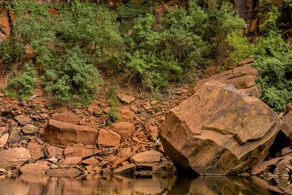 Nationaalpark Zion — Stockfoto