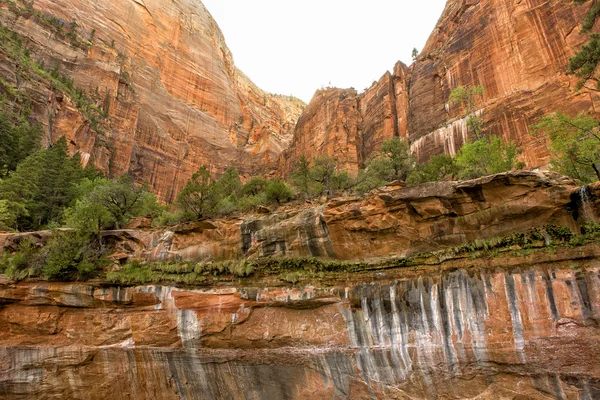 Nationaalpark Zion — Stockfoto