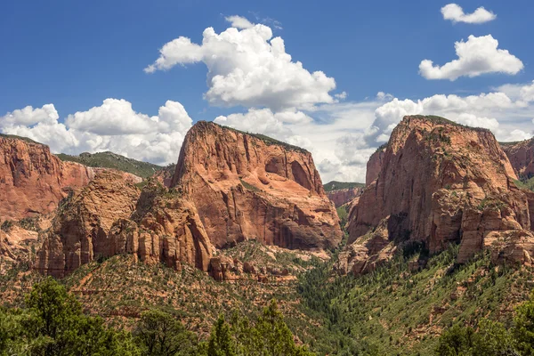 Zion national park