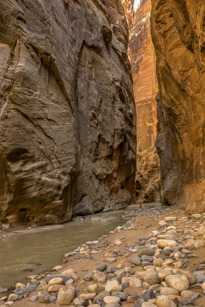 Parque nacional de Zion —  Fotos de Stock