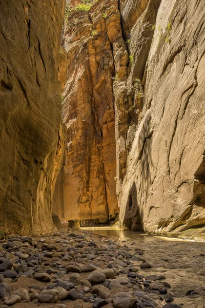 Zion National Park — Stock Photo, Image