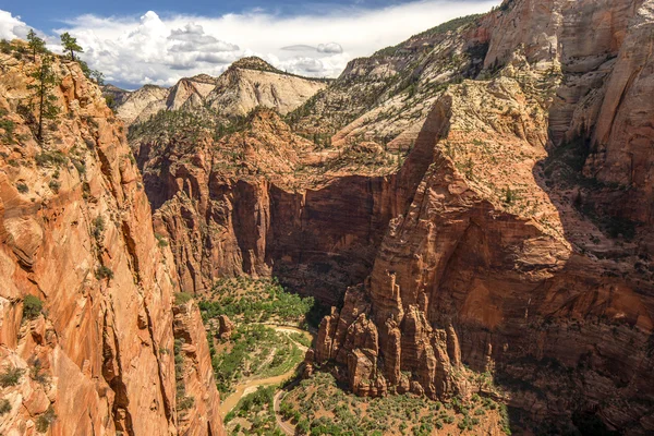 Zion Nemzeti park — Stock Fotó