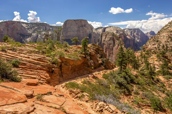 Nationaalpark Zion — Stockfoto