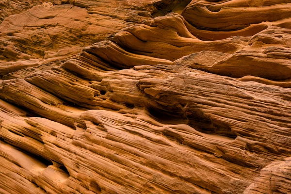 Nationaalpark Zion — Stockfoto