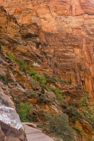 Park narodowy Zion — Zdjęcie stockowe