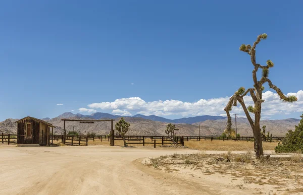 Pioneertown — Stockfoto