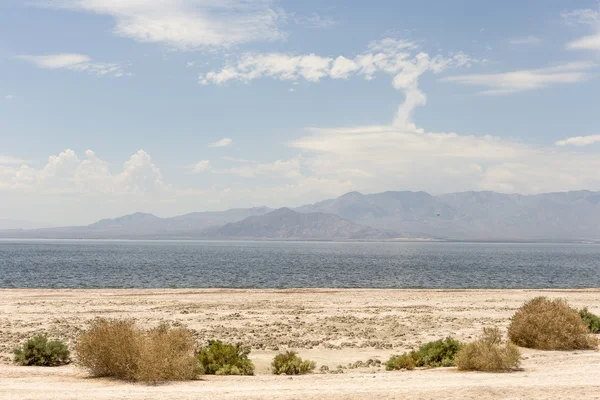 Salton θάλασσα — Φωτογραφία Αρχείου