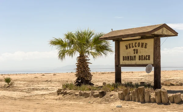 Salton Sea — Stock fotografie