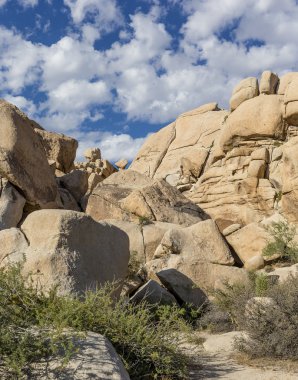 Joshua Tree Ulusal Parkı