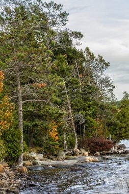 Kartal Gölü kıyı