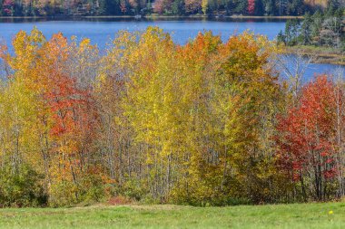Gouldsboro gölde Jones