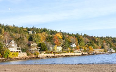 Bracy Cove, Acadia, Maine