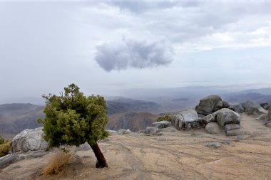 Anahtarları View Point