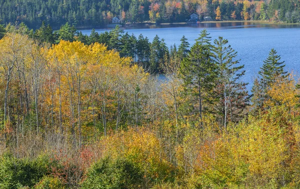 Gouldsboro gölde Jones