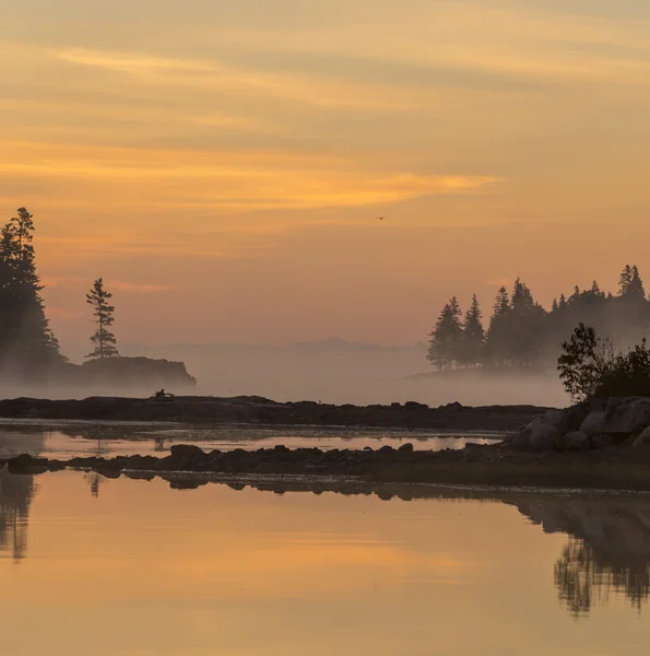 Schoodic 半島の日の出 — ストック写真