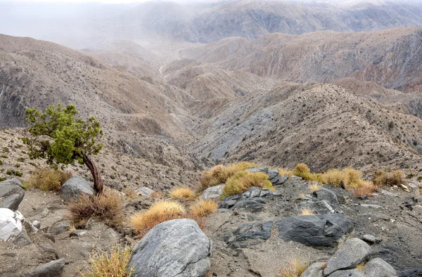 Valle del Coachella — Foto Stock