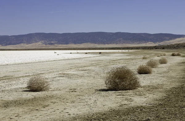 Tumbleweed Army Royalty Free Stock Photos