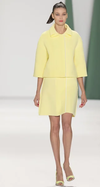 Carolina Herrera - 2015 Coleção Primavera — Fotografia de Stock