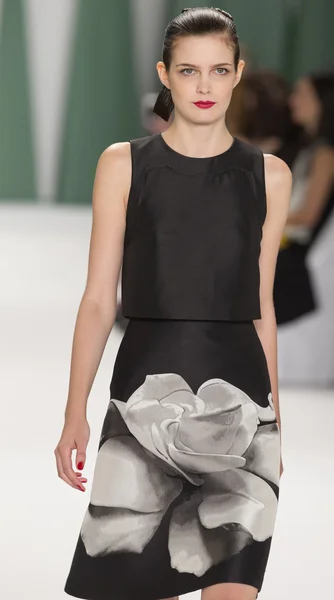 Carolina Herrera - Collection Printemps 2015 — Photo