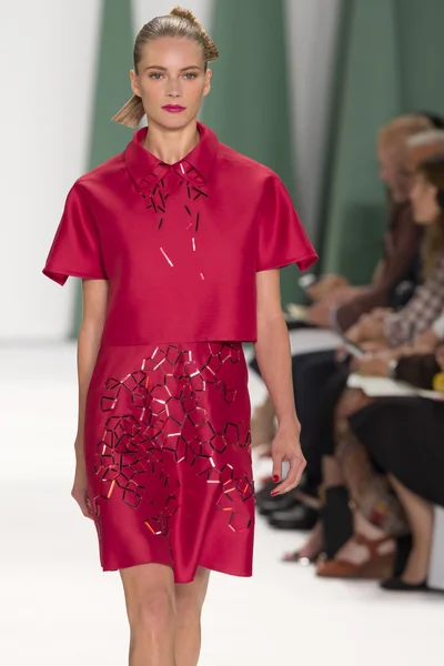 Carolina Herrera - 2015 Spring Collection — Stock Photo, Image