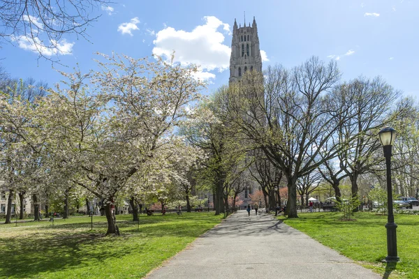 Riverside Church - NYC — Stock Photo, Image